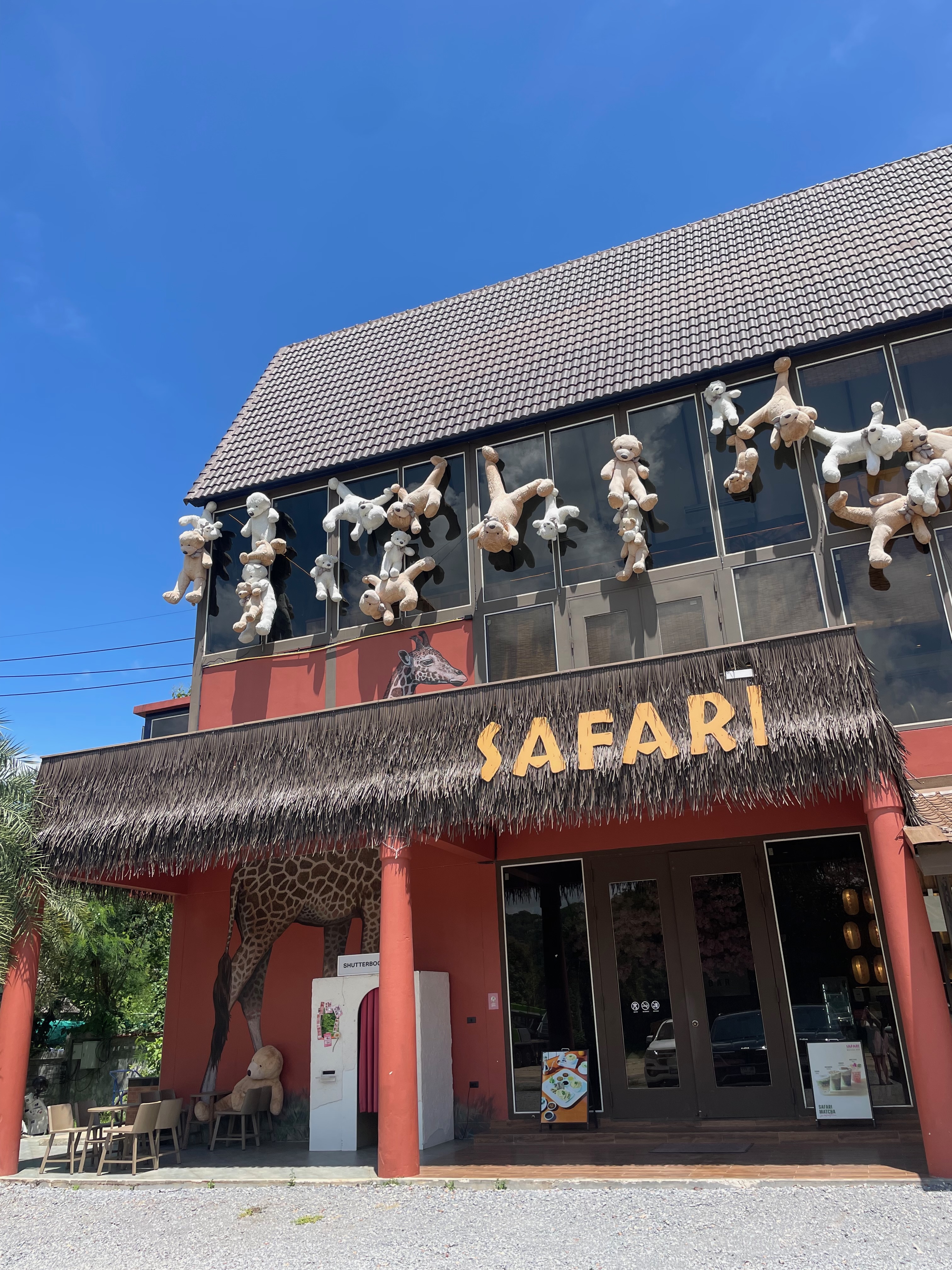 Safari Matcha Bar